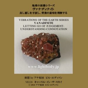 地球の波動シリーズ：ヴァナディナイト