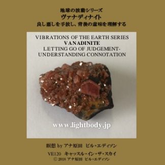 地球の波動シリーズ:ヴァナディナイト