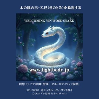 木の陰の巳・乙巳（きのとみ）を歓迎する