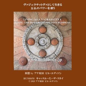 ヴァジュラサットヴァとして生きる：五仏のパワーを使う