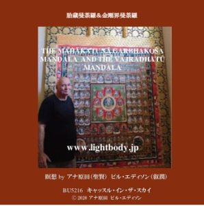 胎蔵曼荼羅&金剛界曼荼羅 THE MAHĀKARUṆĀ GARBHAKOŚA MAṆḌALA AND THE VAJRADHATŪ MAṆḌALA
