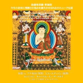 胎蔵曼荼羅・釈迦院:今生の身体に理解と目覚めを誕生させるためのユニークな道
