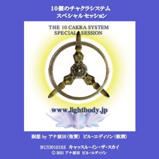 10個のチャクラシステム・スペシャルセッション