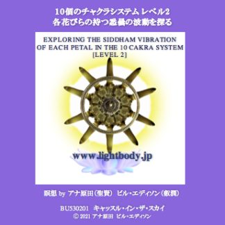 １０個のチャクラシステム・レベル２　各花びらの持つ悉曇の波動を探る