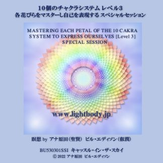１０個のチャクラシステム レベル３：各花びらをマスターし自己を表現する スペシャルセッション
