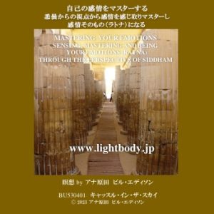 自己の感情をマスターする:悉曇からの視点から感情を感じ取りマスターし、感情そのもの(ラトナ)になる