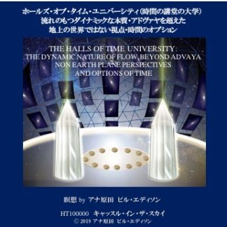 ホールズ・オブ・タイム・ユニバーシティ（時間の講堂の大学）流れのもつダイナミックな本質・アドヴァヤを超えた地上の世界ではない視点・時間のオプション