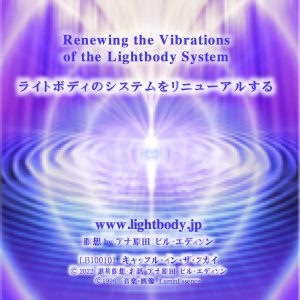 ライトボディのシステムをリニューアルする