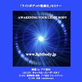 「ライトボディーの覚醒化」セミナー(2022年度)