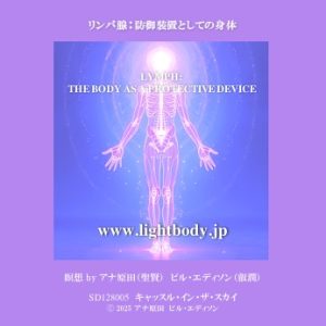 リンパ腺：防御装置としての身体