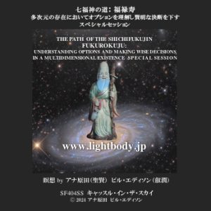 七福神の道：福禄寿：多次元の存在においてオプションを理解し賢明な決断を下す スペシャルセッション