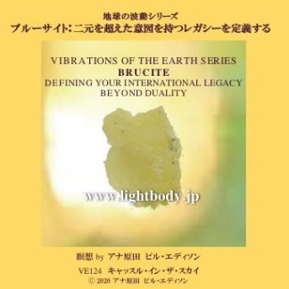 非二元におけるレガシーをサポートするための５つの石：ブルーサイト