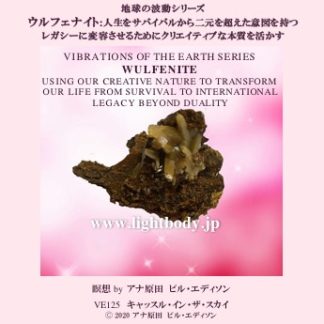 地球の波動シリーズ：ウルフェナイト