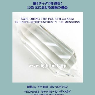 第４チャクラを探る：13次元における無限の機会