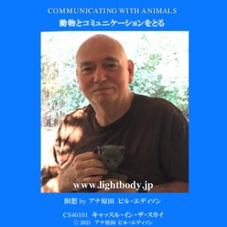 動物とコミュニケーションをとる