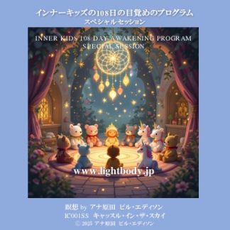 インナーキッズの108日の目覚めのプログラム スペシャルセッション