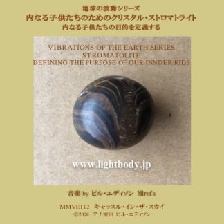 【音楽】地球の波動シリーズ： 内なる子供たちのためのクリスタル・ストロマトライト：内なる子供たちの目的を定義する