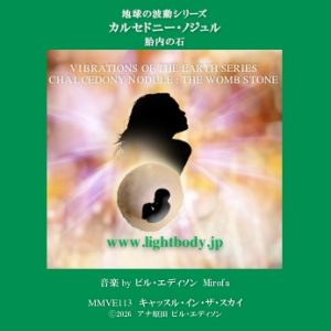 【音楽】地球の波動シリーズ：カルセドニー・ノジュル：胎内の石