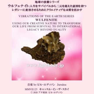 【音楽】地球の波動シリーズ：ウルフェナイト：人生をサバイバルから二元を超えた明確な意図を持つレガシーに変容させるために自己のクリエイティブな本質を活かす