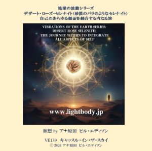 地球の波動シリーズ：デザート・ローズ・セレナイト（砂漠のバラのようなセレナイト）